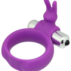 TOYZ4LOVERS Timeless Vibring Purple Penisring med vibrator