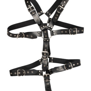 ZADO: Strap Body Harness with Ring