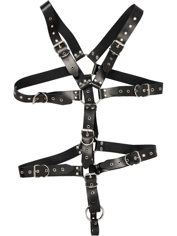 ZADO: Strap Body Harness with Ring