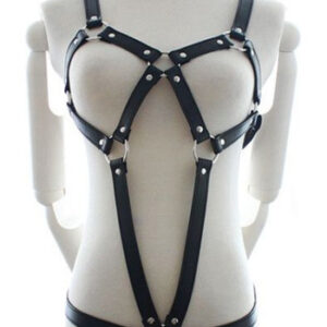 Body Harness