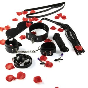 BDSM Start kit