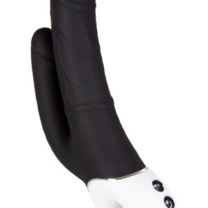 Amazing Birk Dual Penetration