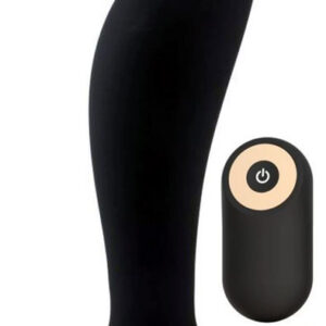 Secret Lover Anal Vibrator