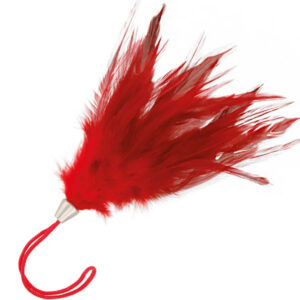 Röd kittlande fjäder Fairytale Feather för förspel mellan partners