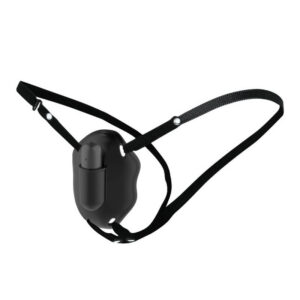 Carter Strap On Vibb silikonvibrator med sele och uppladdningsbar bulletvibrator