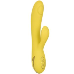 San Diego Seduction vibrerande massager med kontroller för 10 intensiva lägen